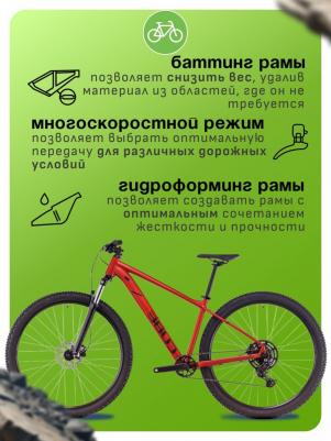 Aim Pro 29 M (2025) – фото 7