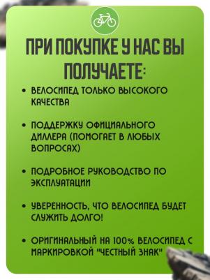 5BIKE 20 M200 (2025) – фото 2