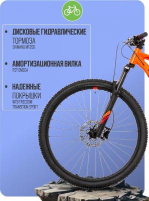 Blizz 10-29 (2024) – фото 7