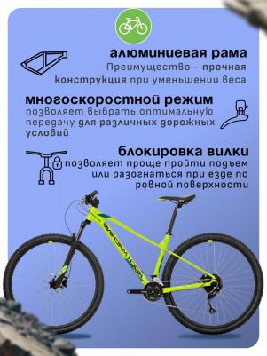 Torrent 20-29 (2024) – фото 2