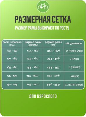 Funriser 29.4+ HD (2024) – фото 8