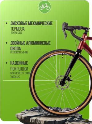 Gravix STD (2024) – фото 6