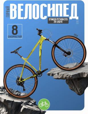 Python STD 29 (2024)