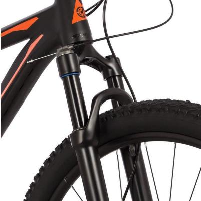 Reload STD 29 (2024) – фото 19