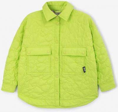 Куртка утепленная стеганая салатовая для девочек (104) – фото 5