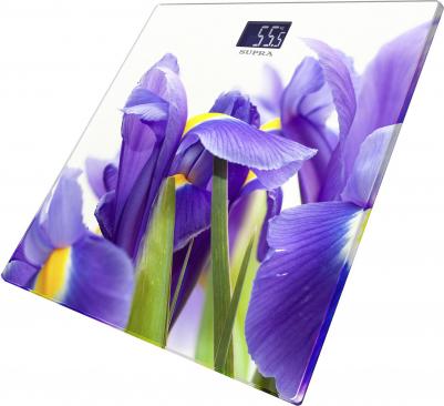 BSS-2013 – фото 4