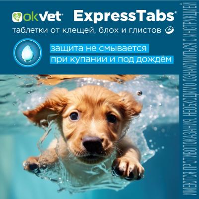 Okvet ЭкспрессТабс таблетки от клещей, блох, гельминтов для собак весом от 2,5-5 кг, 2таб/уп – фото 7