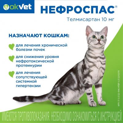 Okvet Нефроспас суспензия для лечения хронической болезни почек и системной гипертензии у кошек - 25 мл – фото 6