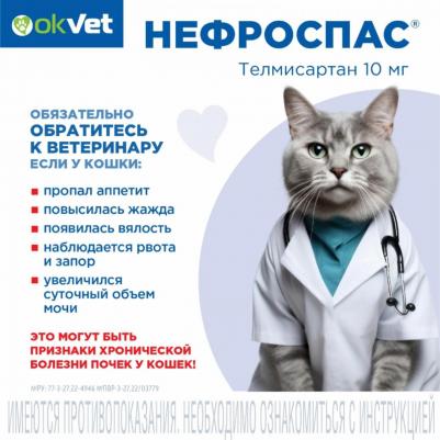Okvet Нефроспас суспензия для лечения хронической болезни почек и системной гипертензии у кошек - 50 мл – фото 2