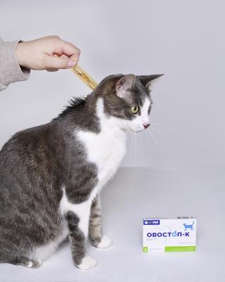Овостоп-К КАПЛИ для регуляции половой охоты коты (2пип по 1мл) – фото 2