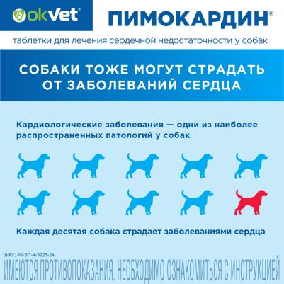 пимокардин 10 мг (26 г) – фото 1