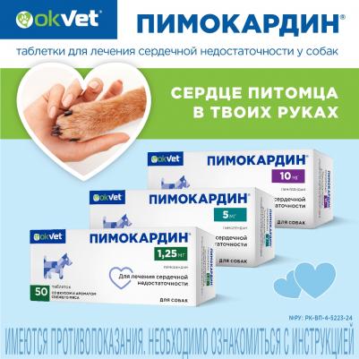 пимокардин 10 мг (26 г) – фото 5