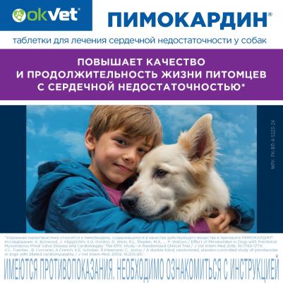 пимокардин 10 мг (26 г) – фото 6