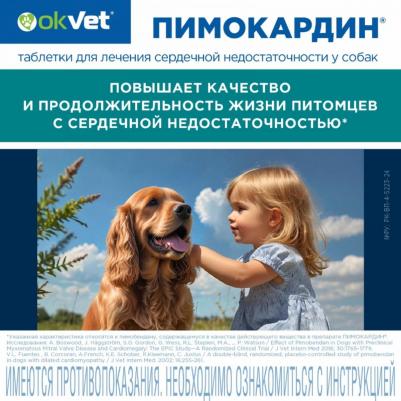 пимокардин 5 мг (26 г) – фото 3