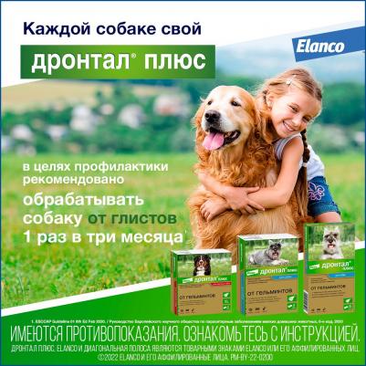 Антигельминтик для собак Дронтал Плюс XL (1таб. на 35кг), 2 таблетки – фото 3
