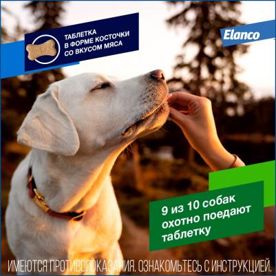 Антигельминтик для собак Дронтал Плюс XL (1таб. на 35кг), 2 таблетки – фото 7