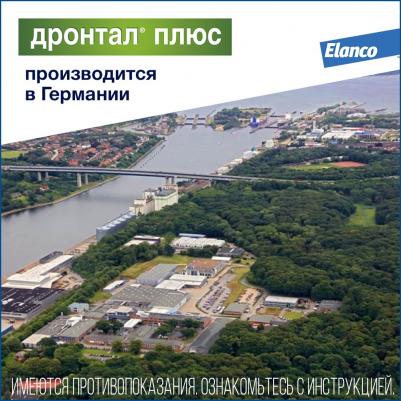 Антигельминтик для собак Дронтал Плюс XL (1таб. на 35кг), 2 таблетки – фото 14