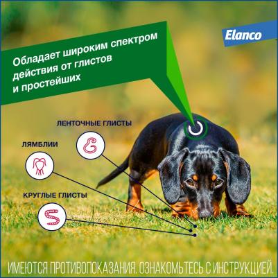 Антигельминтик для собак Дронтал Плюс XL (1таб. на 35кг), 2 таблетки – фото 20