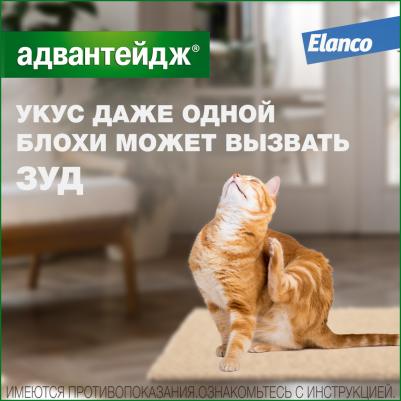 Капли для котят и кошек АДВАНТЕЙДЖ от блох весом более 4 кг, 1 пипетка в упаковке 0,8мл – фото 4