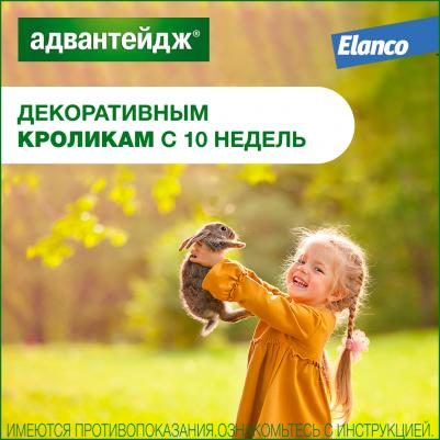 Капли для котят и кошек АДВАНТЕЙДЖ от блох весом более 4 кг, 1 пипетка в упаковке 0,8мл – фото 13