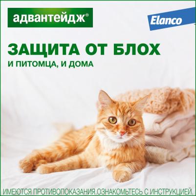 Капли для котят и кошек АДВАНТЕЙДЖ от блох весом более 4 кг, 1 пипетка в упаковке 0,8мл – фото 16