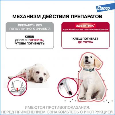 Капли для собак АДВАНТИКС от блох, клещей и комаров 100 1 пипетка в упак – фото 7