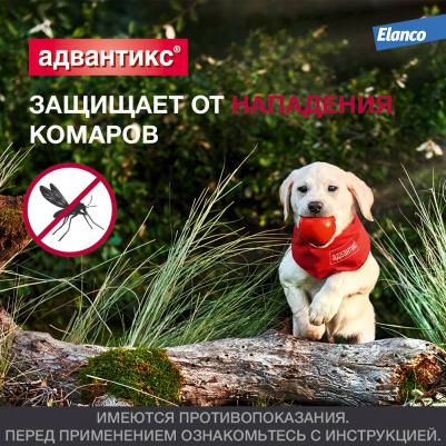 Капли для собак АДВАНТИКС от блох, клещей и комаров 100 1 пипетка в упак – фото 12
