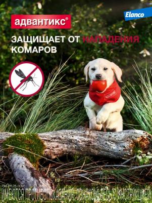 Капли для собак АДВАНТИКС от блох, клещей и комаров 250 1 пипетка в упак – фото 7