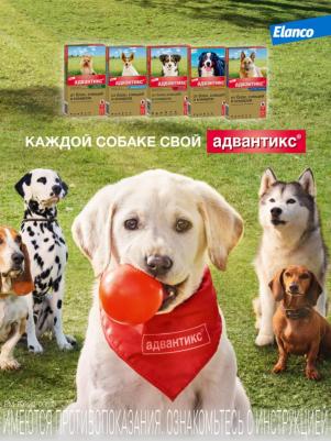 Капли для собак АДВАНТИКС от блох, клещей и комаров 250 1 пипетка в упак – фото 11