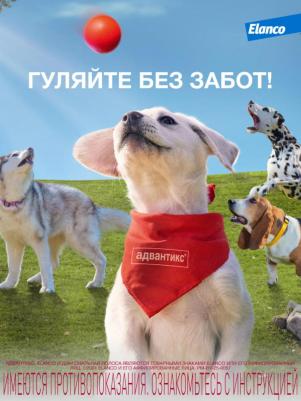 Капли для собак АДВАНТИКС от блох, клещей и комаров 250 1 пипетка в упак – фото 12