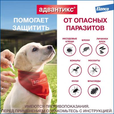 Капли для собак АДВАНТИКС от блох, клещей и комаров 40 1 пипетка в упак – фото 1
