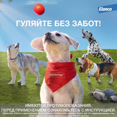 Капли для собак АДВАНТИКС от блох, клещей и комаров 40 1 пипетка в упак – фото 4