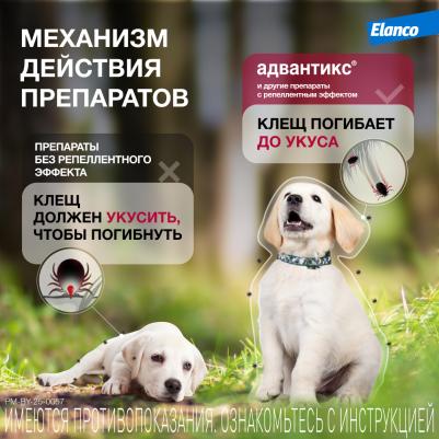 Капли для собак АДВАНТИКС от блох, клещей и комаров 40 1 пипетка в упак – фото 11