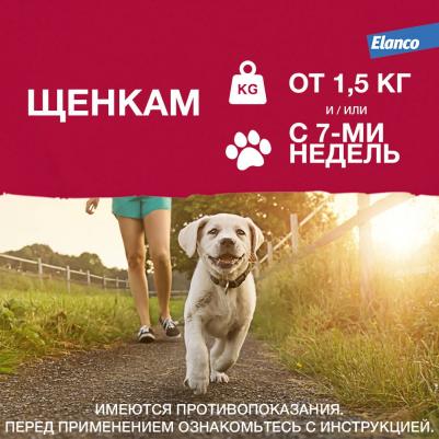 Капли для собак АДВАНТИКС от блох, клещей и комаров 40 1 пипетка в упак – фото 14