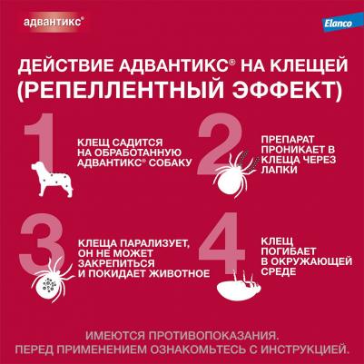 Капли для собак АДВАНТИКС от блох, клещей и комаров 40 1 пипетка в упак – фото 16
