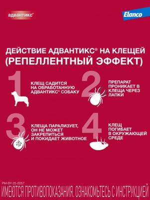 Капли для собак АДВАНТИКС от блох, клещей и комаров 400 1 пипетка в упак – фото 19