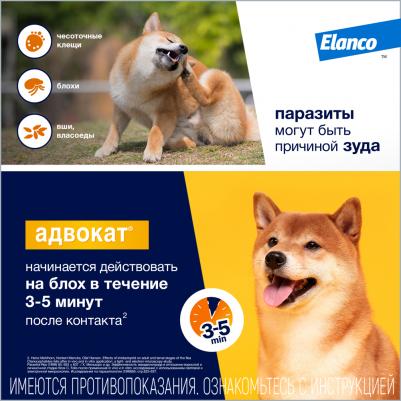 Капли для собак АДВОКАТ 250 от чесоточных клещей, блох и гельминтов 2,5мл/1 пип – фото 10