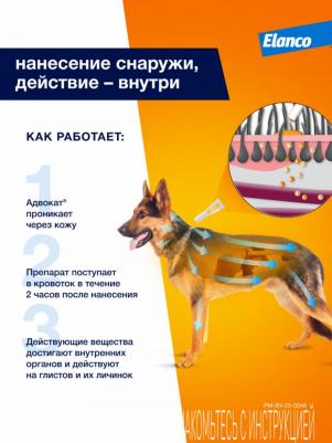 Капли для собак АДВОКАТ 250 от чесоточных клещей, блох и гельминтов 2,5мл/1 пип – фото 11