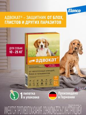 Капли для собак АДВОКАТ 250 от чесоточных клещей, блох и гельминтов 2,5мл/1 пип – фото 16