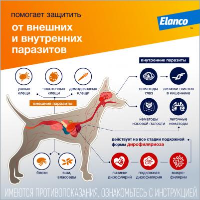 Капли для собак АДВОКАТ 400 от чесоточных клещей, блох и гельминтов 4мл/1 пип – фото 9
