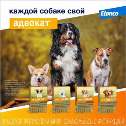 Капли для собак АДВОКАТ 400 от чесоточных клещей, блох и гельминтов 4мл/1 пип – фото 10