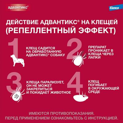 Капли для собак от 40 до 60 кг от клещей и блох Адвантикс 600C 6мл, 4 шт – фото 6