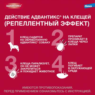 Капли для собак против паразитов Адвантикс, до 4 кг, 4 пипетки, 0,4 мл – фото 7