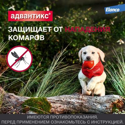 Капли для собак против паразитов Адвантикс, до 4 кг, 4 пипетки, 0,4 мл – фото 16
