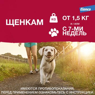Капли для собак против паразитов Адвантикс, до 4 кг, 4 пипетки, 0,4 мл – фото 17