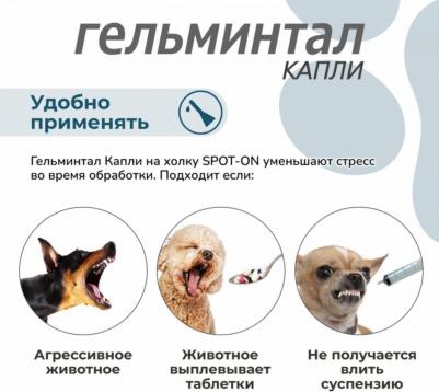 Капли на холку от внутренних паразитов Гельминтал Spot-on для собак более 10кг 2*2.5мл – фото 5