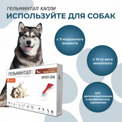 Капли на холку от внутренних паразитов Гельминтал Spot-on для собак более 10кг 2*2.5мл – фото 9