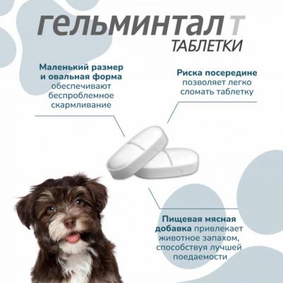 Таблетки от паразитов Гельминтал для щенков и собак менее 10кг 2шт – фото 5