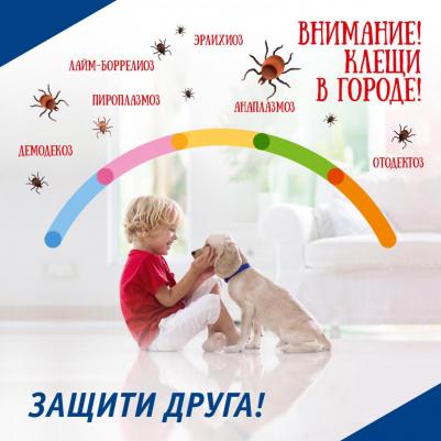 Weierli Biotechnology Co.,Ltd таблетки от блох и клещей Тиксфли для собак 4,5 - 10 кг для собак от 4.5 до 10 кг 1 шт. в уп., 1 уп – фото 3