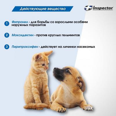 Спрей для кошек и собак от внешних и внутренних паразитов 100мл – фото 4